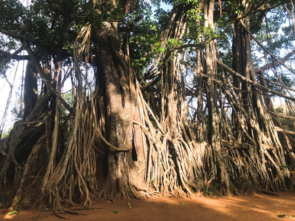 Anuradhapura