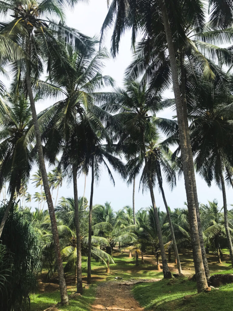 Tangalle bezienswaardigheden