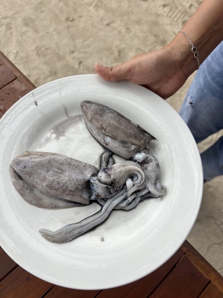 wat te doen op Bohol