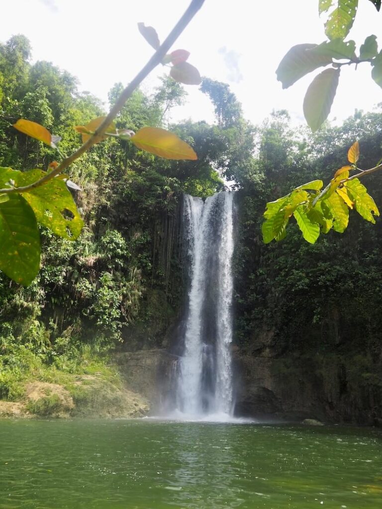 wat te doen op Bohol