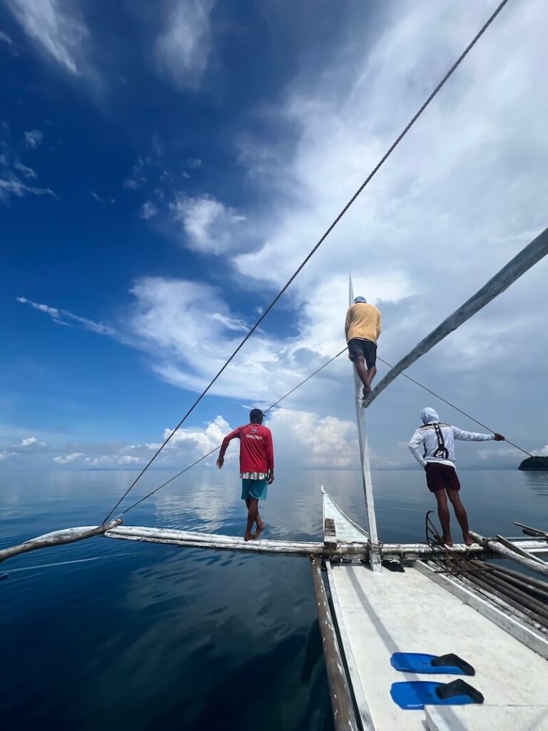 Zwemmen met walvishaaien Filipijnen