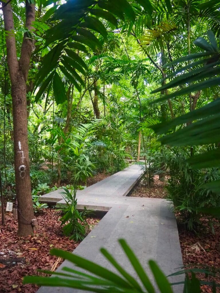 wat te doen in manila