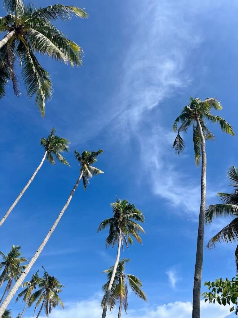 wat te doen op Siquijor