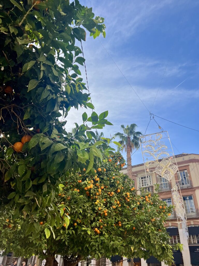 waar verblijven in Málaga